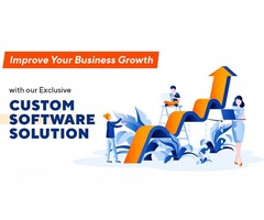 Improve Your Business Growth with Our Exclusive Custom Software Solution | free-classifieds-usa.com - 1