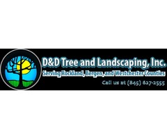 Tree Stump Removal Services in Rockland County NY | free-classifieds-usa.com - 1