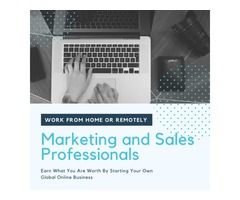 Seeking Marketing and Sales Professionals For An Online Business | free-classifieds-usa.com - 1