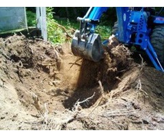 Best Tree Removal Services in Rockland NY | free-classifieds-usa.com - 1