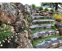 Landscape Design in Sonoma County | free-classifieds-usa.com - 1