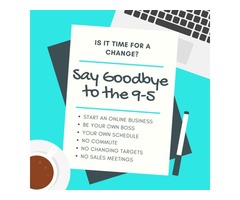 Say Goodbye to the 9-5!  Be Your Own Boss and Work Your Own Schedule | free-classifieds-usa.com - 1