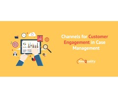 Channels for Customer Engagement in Case Management | free-classifieds-usa.com - 1