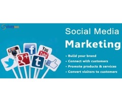 Social media management/web design services  | free-classifieds-usa.com - 1
