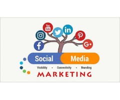 Social media management/web design services  | free-classifieds-usa.com - 2