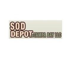 Trust The Family Owned And Operated Source For Great Sod | free-classifieds-usa.com - 1