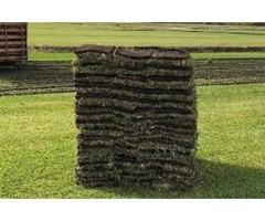 Trust The Family Owned And Operated Source For Great Sod | free-classifieds-usa.com - 4