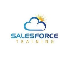 Onsite Training for Salesforce in Avalon | free-classifieds-usa.com - 1