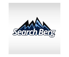 The 2020 SEO Roadmap for Small Businesses - Search Berg | free-classifieds-usa.com - 1