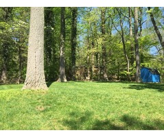 Commercial Lawn Maintenance Services in Bergen County | free-classifieds-usa.com - 1