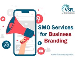 VSPL provides best SMO Services for Business Growth | free-classifieds-usa.com - 1