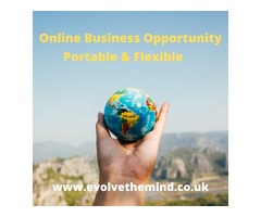An online business for the ‘Big Thinker’ | free-classifieds-usa.com - 1