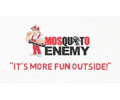 Mosquito and Tick Control Gloucester | free-classifieds-usa.com - 1
