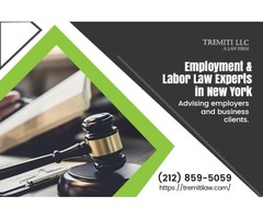 Employment & Labor Law Experts in NY | free-classifieds-usa.com - 1