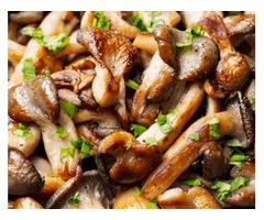 Wholesale Mushrooms for Minnesota Restaurants  | free-classifieds-usa.com - 1