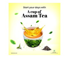 Buy Fresh Assam Tea for a Superb Start to Your Mornings! | free-classifieds-usa.com - 1