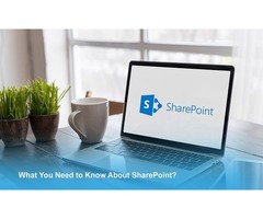 What You Need to Know About Microsoft SharePoint? | free-classifieds-usa.com - 1