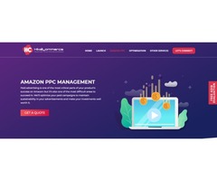 How does an Amazon Account manager helps you? | free-classifieds-usa.com - 1