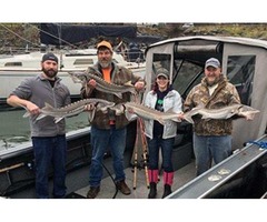 columbia river walleye guides | free-classifieds-usa.com - 2