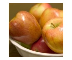 Buy Malus Honeycrisp Apple - 7 Gallon Pot | free-classifieds-usa.com - 1