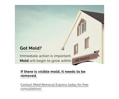 Visible Mold In Home | free-classifieds-usa.com - 1