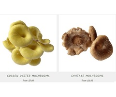 FAQs About Gourmet Minnesota Mushrooms | R&R Cultivation | free-classifieds-usa.com - 1