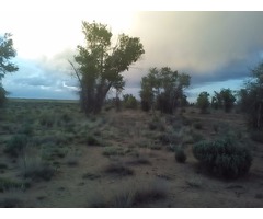 1 of 2 – 40 Acre Colorado Lots-Trees & Water APN7250 | free-classifieds-usa.com - 1