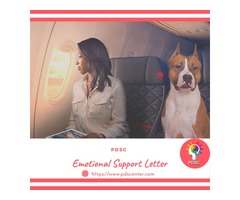 Emotional Support Letter | free-classifieds-usa.com - 1