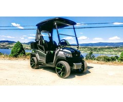 Custom Built Golf Carts Street Legal | free-classifieds-usa.com - 1