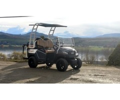 Custom Built Golf Carts Street Legal | free-classifieds-usa.com - 3
