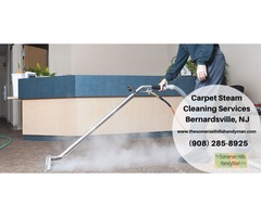 Why Do You Need To Hire Carpet Steam Cleaning Services Bernardsville, NJ?  | free-classifieds-usa.com - 1