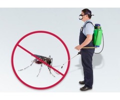 Outdoor Mosquito Prevention | free-classifieds-usa.com - 1