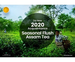 Buy Season's Best Summer Second Flush Tea at Best Price | free-classifieds-usa.com - 1