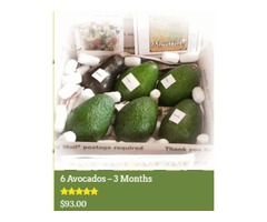 Avocadomonthly.com - California Avocados - Detox Diet Food | free-classifieds-usa.com - 1