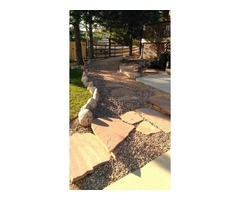 Jorge F Landscaping Services | free-classifieds-usa.com - 3