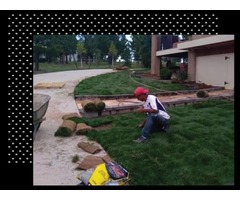 Jorge F Landscaping Services | free-classifieds-usa.com - 4