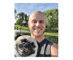 Dog Walking Chicago - Bark Industries | free-classifieds-usa.com - 1