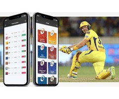 Venture into the rapidly growing fantasy cricket industry with an app | free-classifieds-usa.com - 1