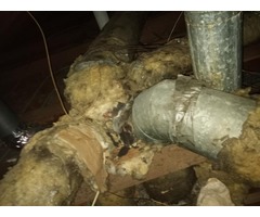Rodent Solution | free-classifieds-usa.com - 2