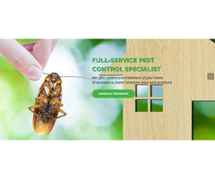 Bed Bug Treatment before they become an even bigger problem - First Choice Pest Control | free-classifieds-usa.com - 1