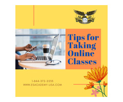 E & S Academy | Tips for Taking Online Classes | free-classifieds-usa.com - 1