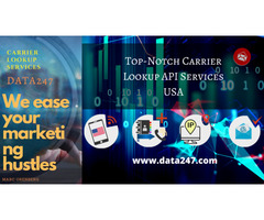 #1 Mobile Carrier API Services in USA | Data247 | free-classifieds-usa.com - 1