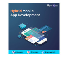 Hybrid Mobile App Development company | free-classifieds-usa.com - 1