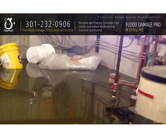 Water Damage Restoration in Olney, MD | free-classifieds-usa.com - 1
