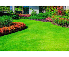 The 10 Best Landscaping Companies | Landscaping Services | EasyGo PRO  | free-classifieds-usa.com - 1