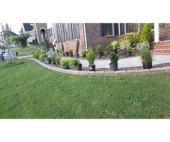 Pavon Landscaping | free-classifieds-usa.com - 3