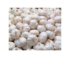 Purchase Fresh, Organic and Both Varieties of Garlic from Professional Supplier in Argentina | free-classifieds-usa.com - 1