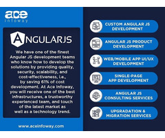 Angular JS Development Services | Ace Infoway | free-classifieds-usa.com - 1