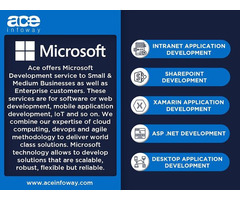 Microsoft Development Services | Ace Infoway | free-classifieds-usa.com - 1