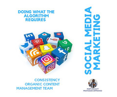 Organic Social Media Management | free-classifieds-usa.com - 1